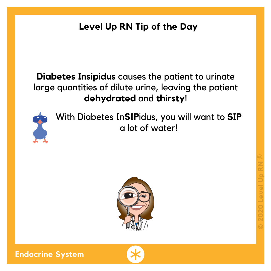 Diabetes Insipidus – LevelUpRN