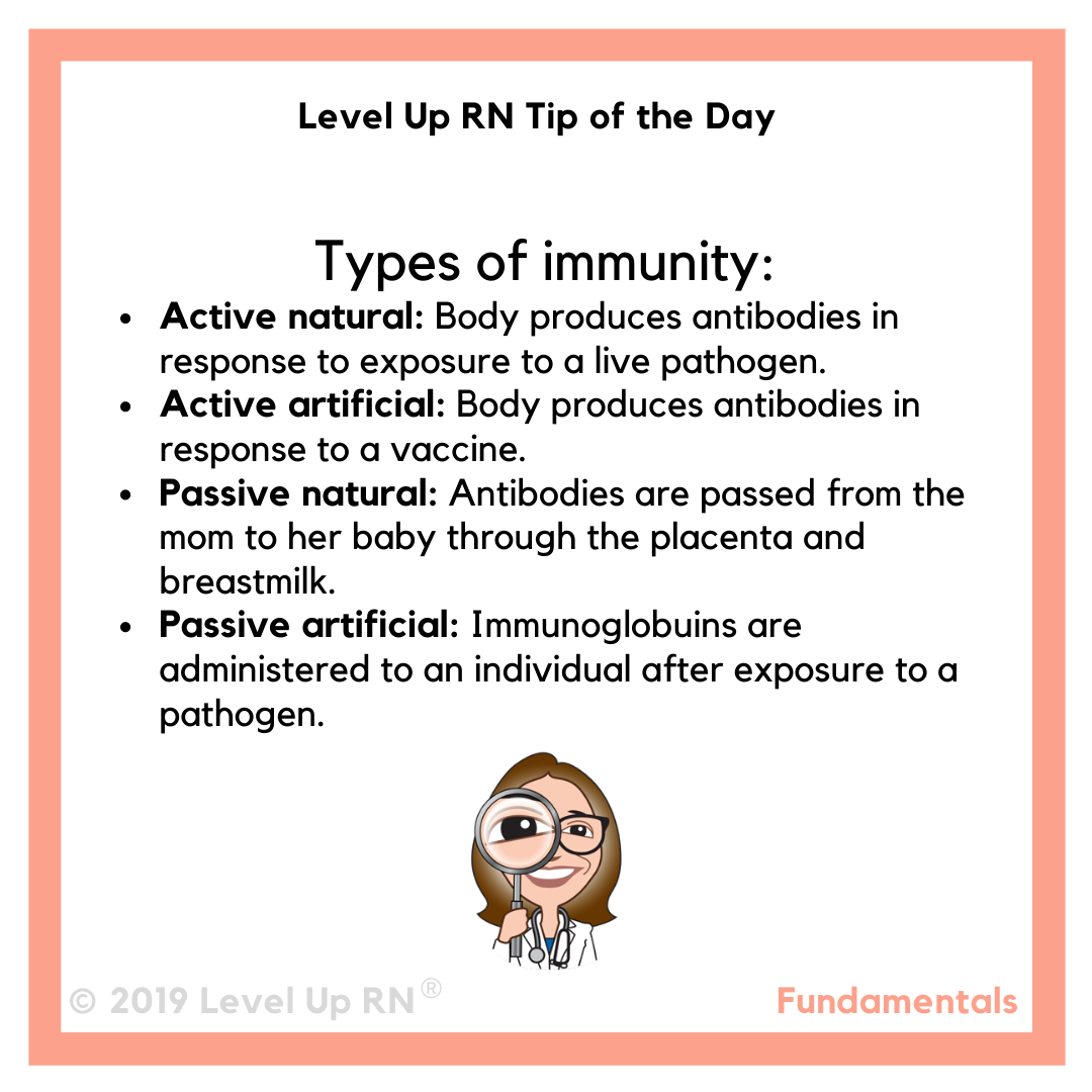 What Are The 4 Types Of Immunity Leveluprn