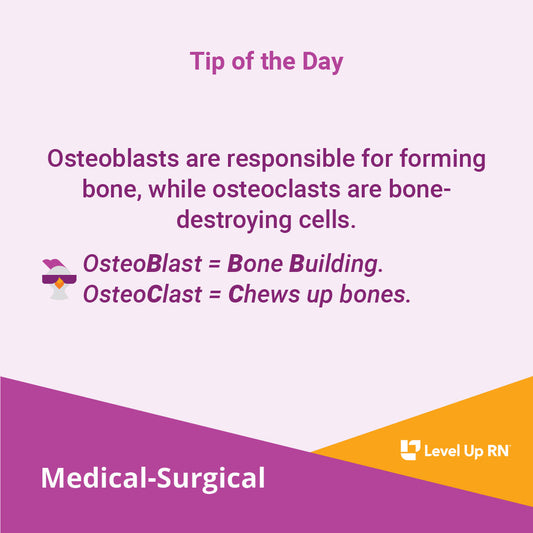 Osteoblasts are responsible for forming bone, while osteoclasts are bone-destroying cells.