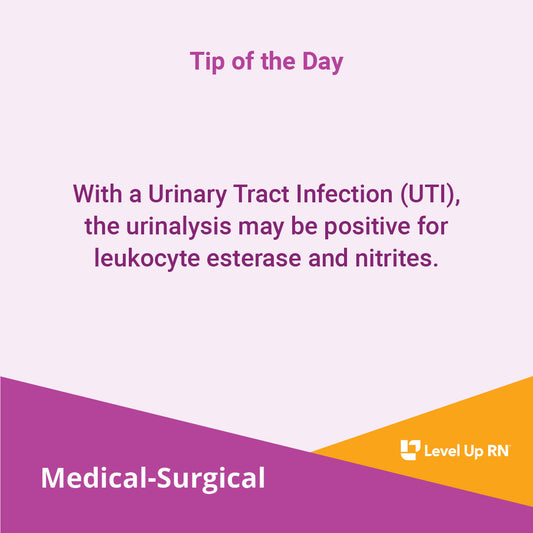 Urinary Tract Infection - LevelUpRN