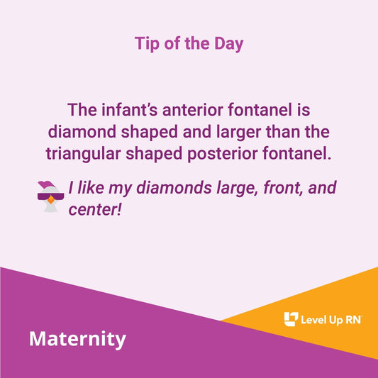 The infant's anterior fontanel is diamond shaped and larger than the triangular shaped posterior fontanel.