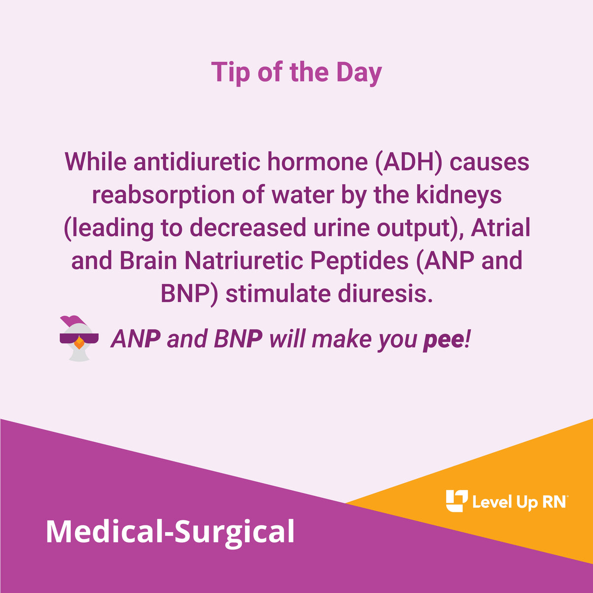 While antidiuretic hormone (ADH) causes reabsorption of water by the kidneys (leading to decreased urine output), Atrial and Brain Natriuretic Peptides (ANP and BNP) stimulate diuresis.