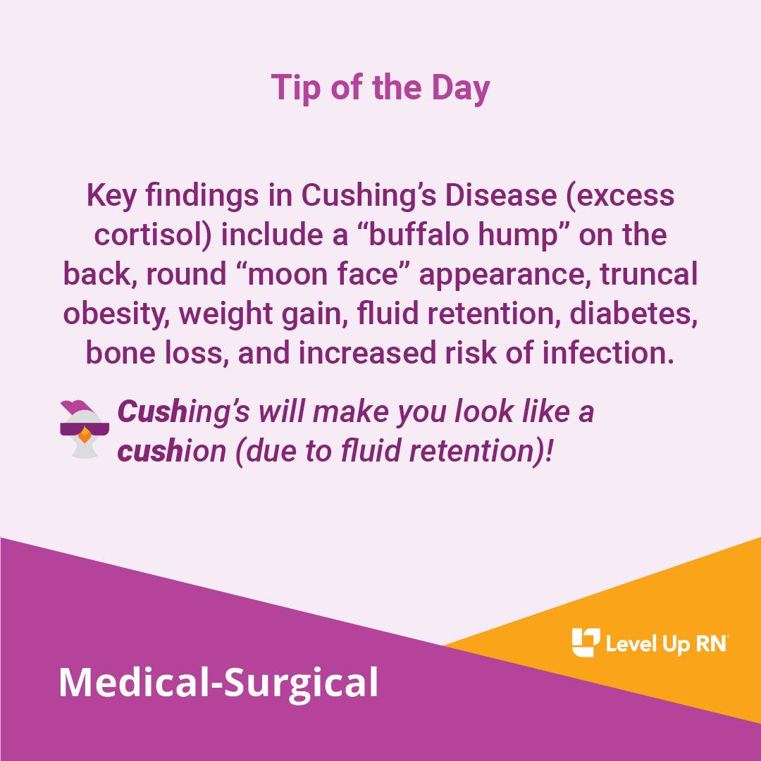 Cushing's Disease: Key Findings - LevelUpRN