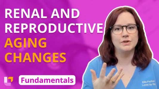 Fundamentals - Gerontology, part 5: Renal and Reproductive Changes in Aging Adults - LevelUpRN
