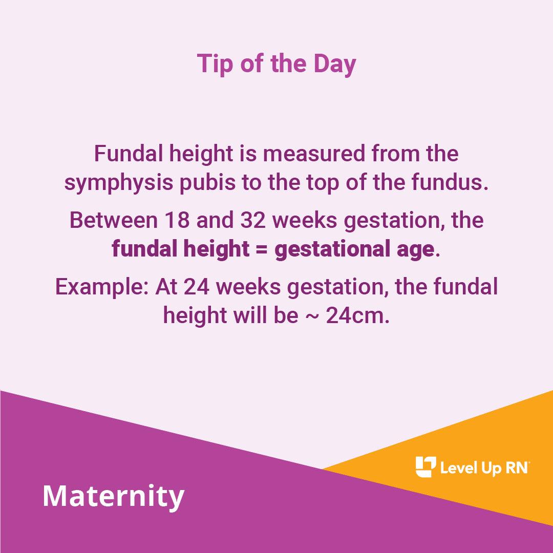 Between 18 and 32 weeks gestation, the fundal height = gestational age.