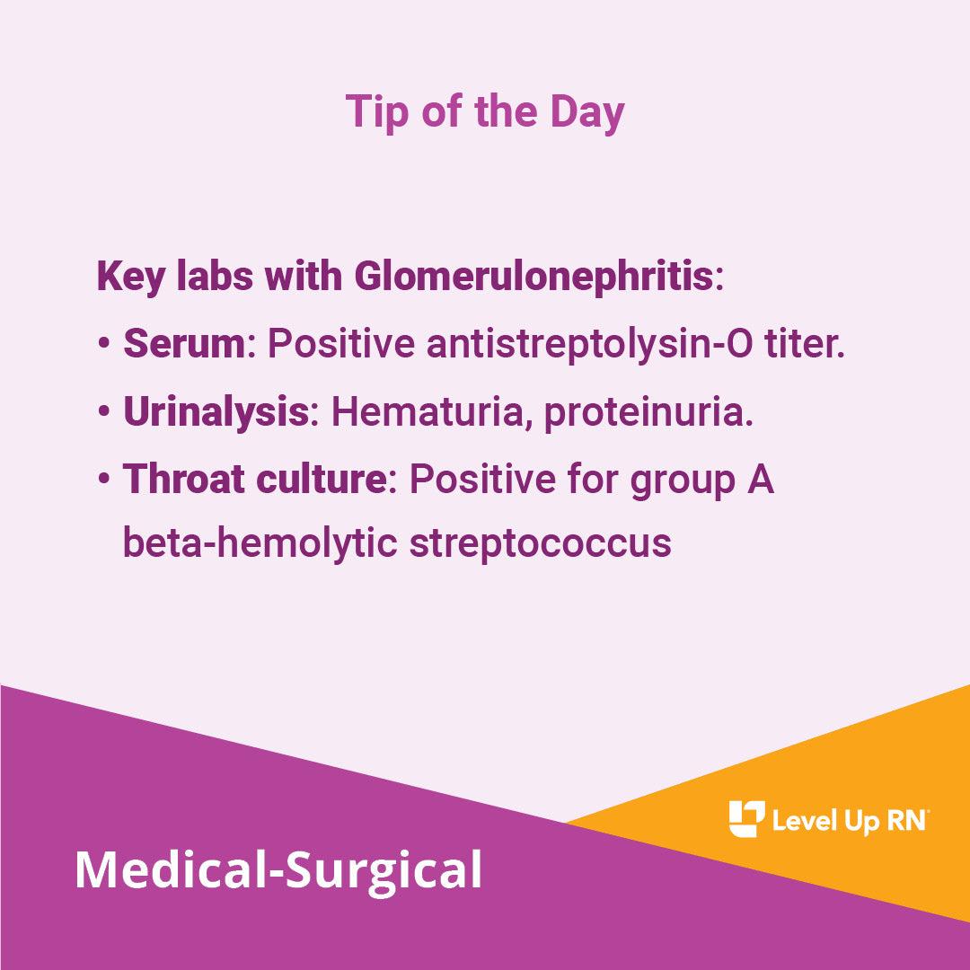 Glomerulonephritis Labs - LevelUpRN