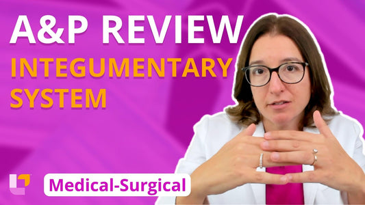 Med-Surg - Integumentary System, part 1: Anatomy & Physiology Review - LevelUpRN