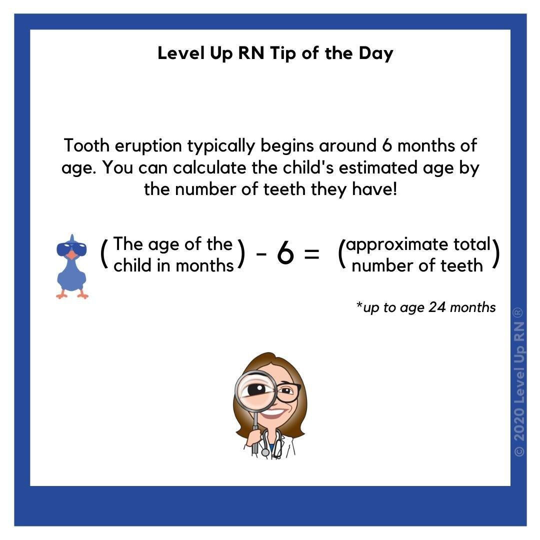 Tooth eruption typically begins around 6 months of age. You can calculate the child's estimated age by the number of teeth they have! The age of the child in months - 6 equals the approximate total number of teeth (up to age 24 months).
