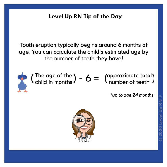 Tooth eruption typically begins around 6 months of age. You can calculate the child's estimated age by the number of teeth they have! The age of the child in months - 6 equals the approximate total number of teeth (up to age 24 months).