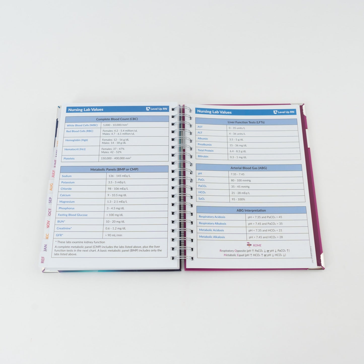 Daily 23-24 Planner