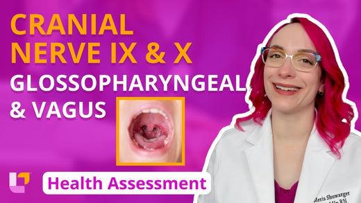 Health Assessment, part 28: Cranial Nerve IX - Glossopharyngeal & Cranial Nerve X - Vagus