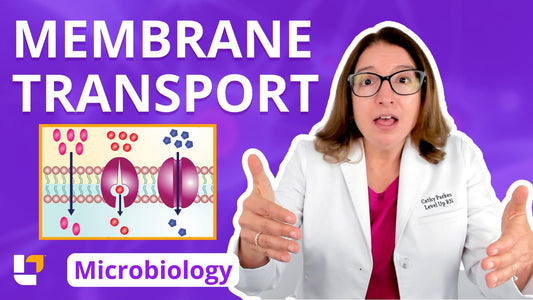 Microbiology, part 16: Prokaryotes & Eukaryotes - Membrane Transport