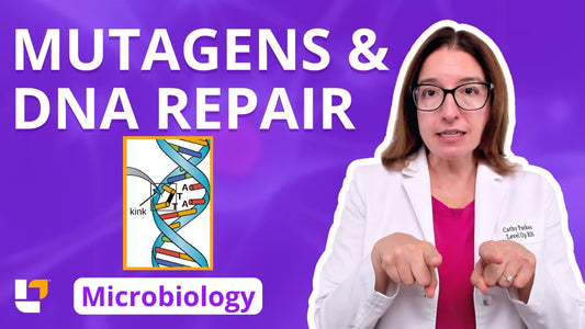 Microbiology, part 37: Genetics - Mutagens & DNA Repair