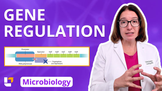 Microbiology, part 40: Genetics - Gene Regulation