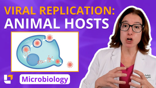 Microbiology, part 46: Acellular Infectious Agents - Viral Replication in an Animal Host