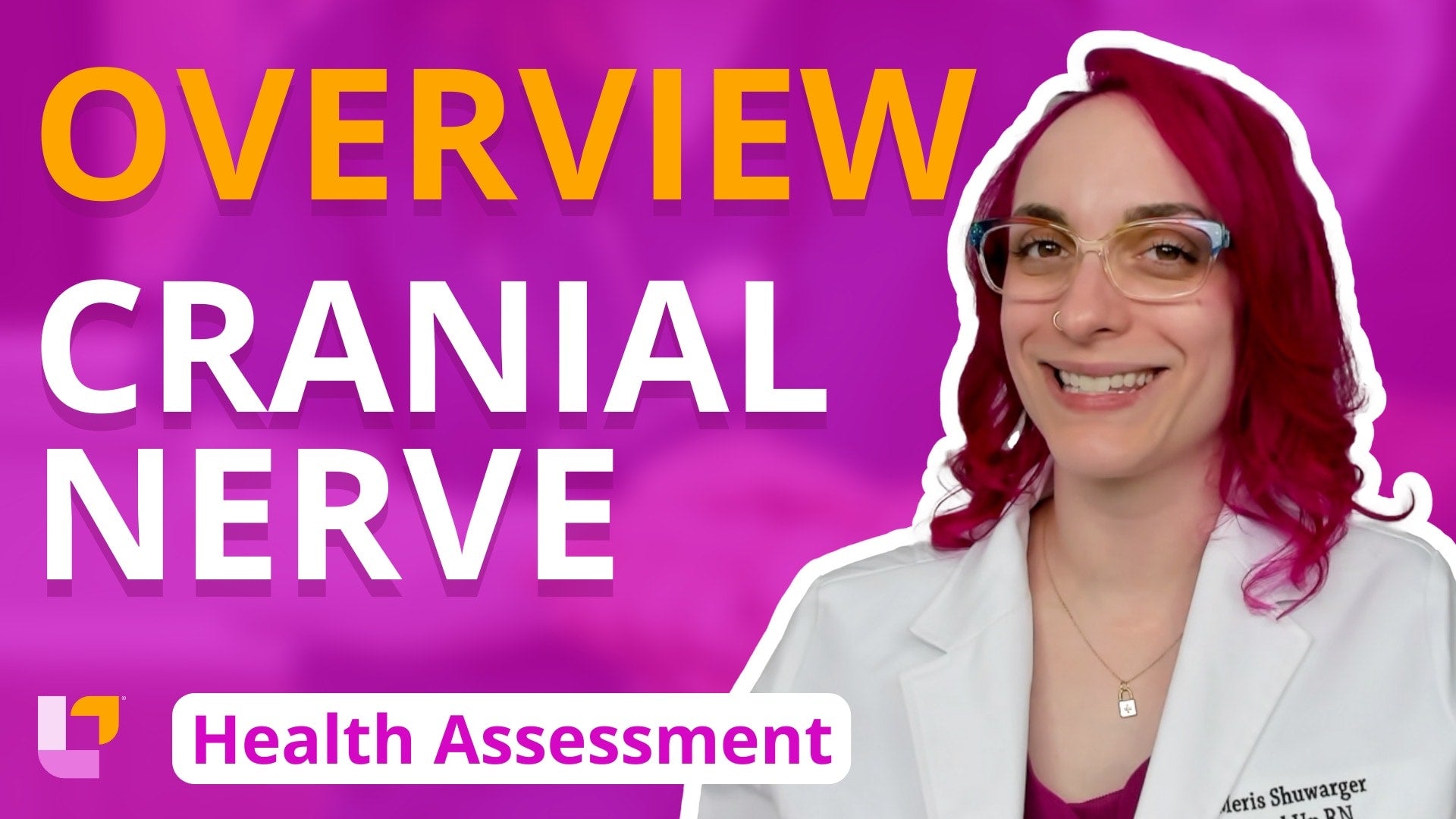 Health Assessment, part 21: Cranial Nerve Overview – LevelUpRN