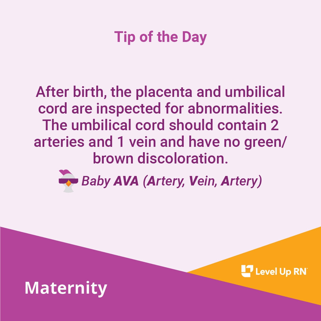 Umbilical Cord Inspection - LevelUpRN