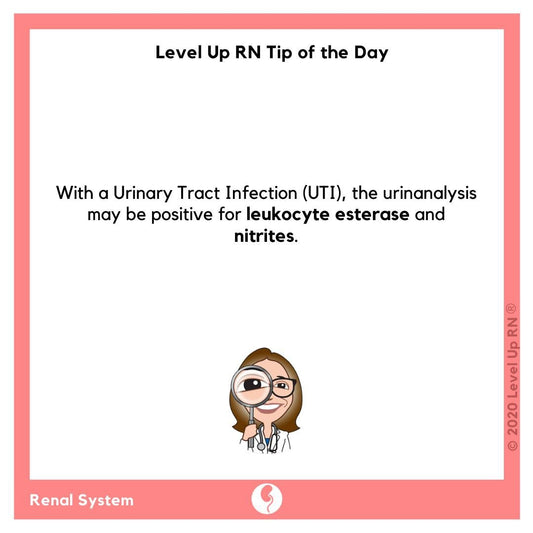 With a Urinary Tract Infection (UTI), the urinanalysis will be positive for leukocyte esterase and nitrites.