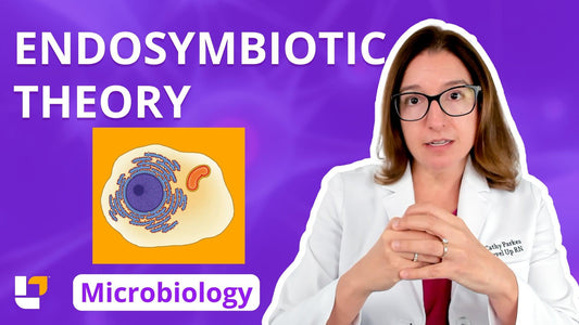 Microbiology, part 15: Prokaryotes & Eukaryotes - Endosymbiotic Theory