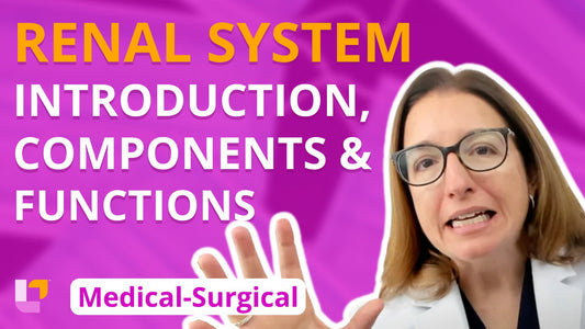 Med-Surg - Renal System, part 1: Introduction, Components and Functions - LevelUpRN