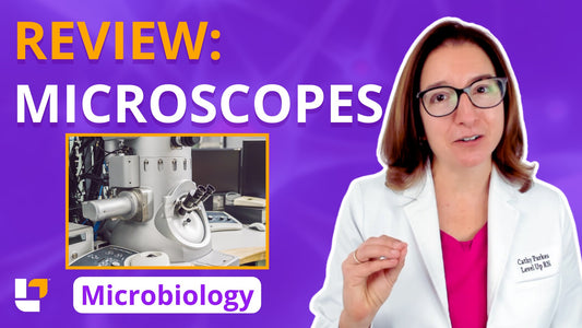 Microbiology, part 6: Foundations - Review of Microscopes