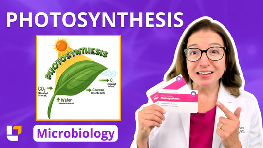 Microbiology, part 24: Metabolism - Photosynthesis