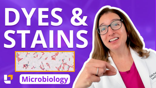 Microbiology, part 7: Foundations - Dyes & Stains