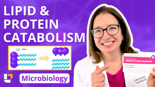 Microbiology, part 23: Metabolism - Lipid & Protein Catabolism