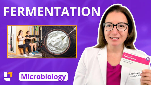 Microbiology, part 22: Metabolism - Fermentation