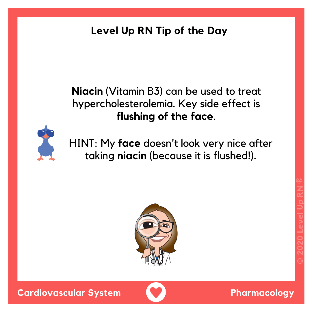 Niacin Hypercholesterolemia