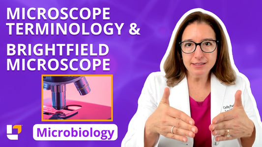 Microbiology, part 5: Foundations - Microscope Terminology & Brightfield Microscope