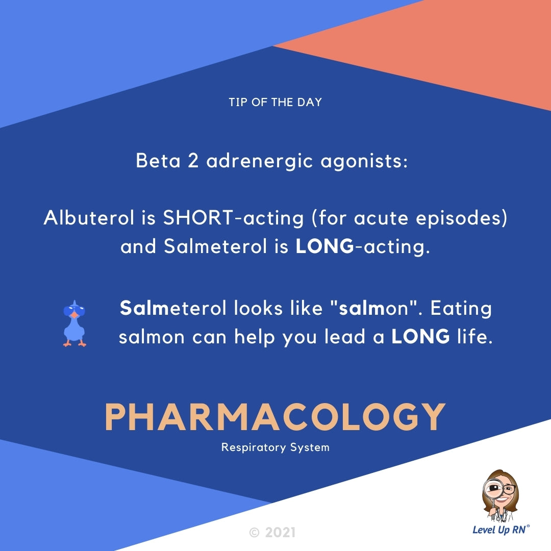 Beta 2 adrenergic agonists: Albuterol is SHORT-acting (for acute episodes) and Salmeterol is LONG-acting. HINT: Salmeterol looks like "salmon". Eating salmon can help you lead a LONG life.