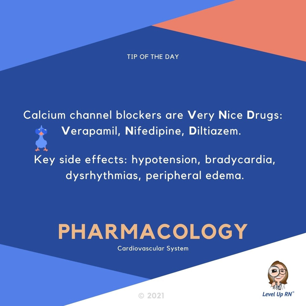 calcium-channel-blockers-leveluprn