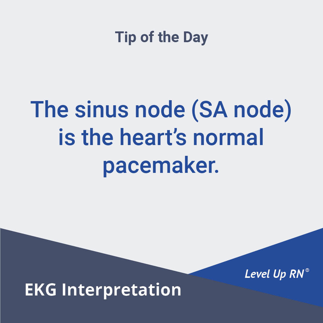 The sinus node (SA node) is the heart's normal pacemaker.