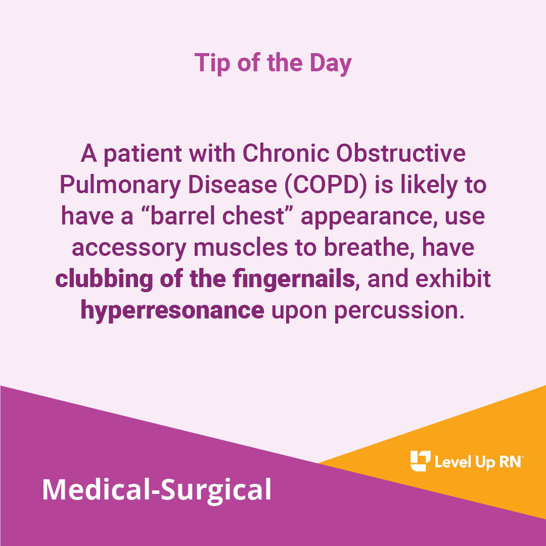 A patient with Chronic Obstructive Pulmonary Disease (COPD) is likely to have a "barrel chest" appearance, use accessory muscles to breathe, have clubbing of the fingernails, and exhibit hyperresonance upon percussion.