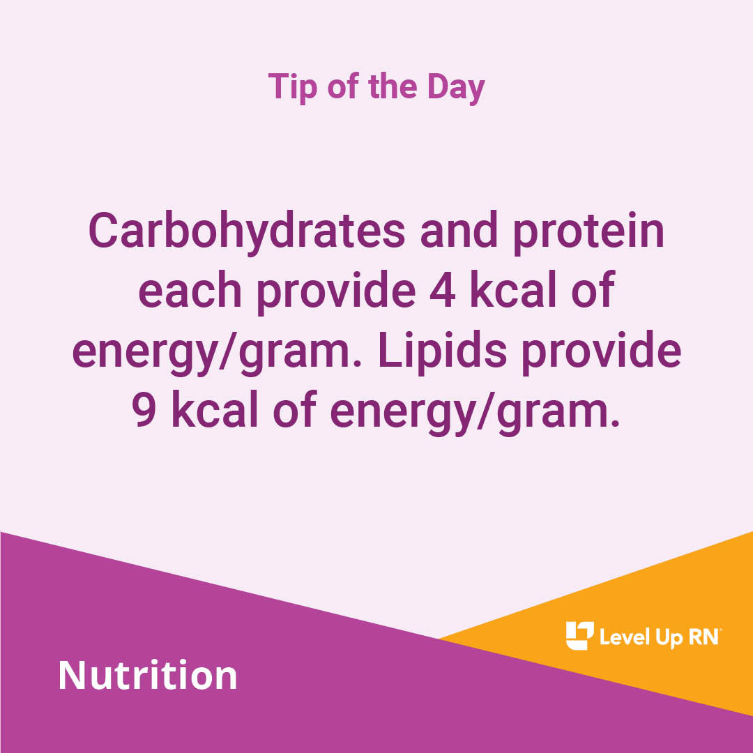 Carbohydrates and protein each provide 4 kcal of energy/gram. Lipids provide 9 kcal of energy/gram.