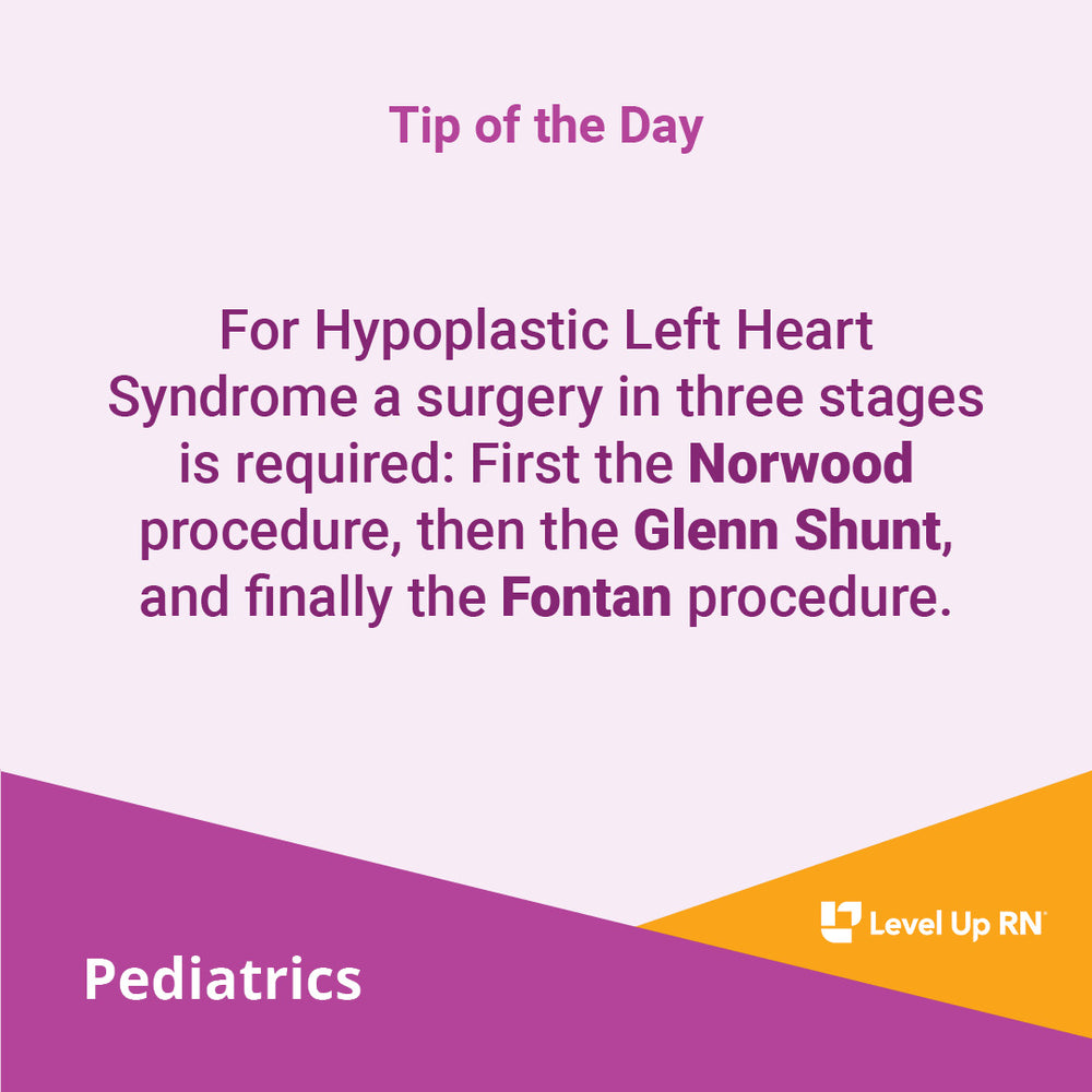 Hypoplastic Left Heart Syndrome - LevelUpRN