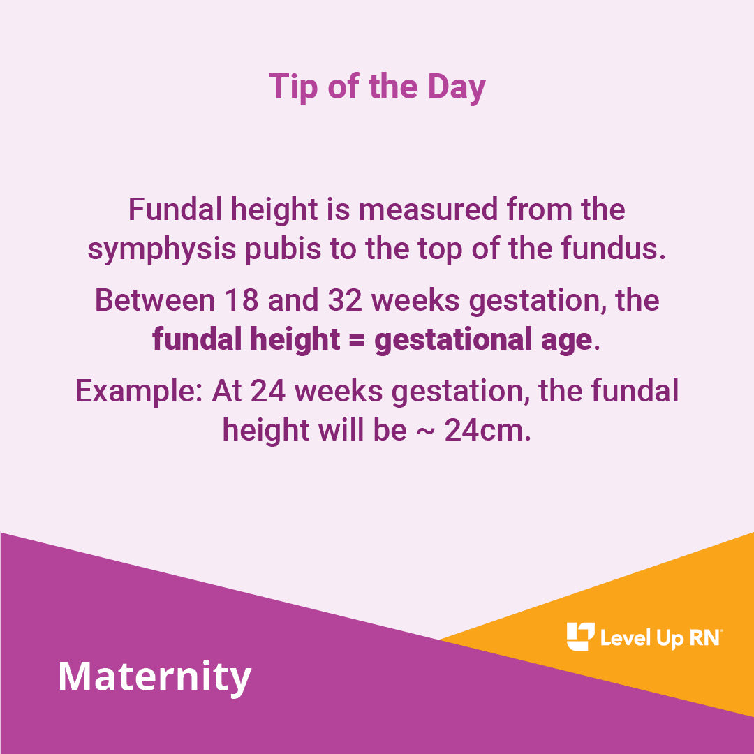 Between 18 and 32 weeks gestation, the fundal height = gestational age.