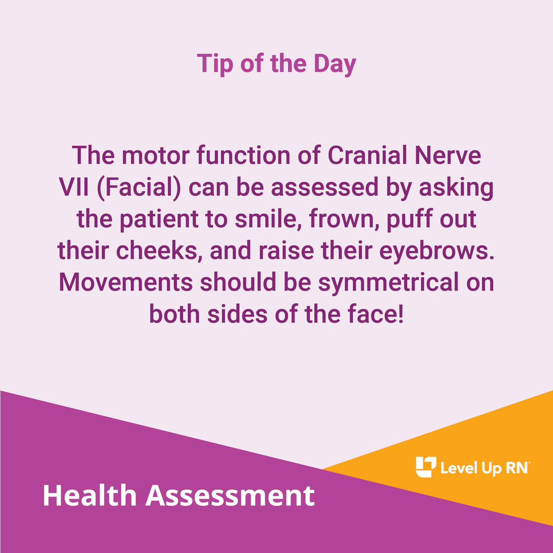 The motor function of Cranial Nerve VII (Facial) can be assessed by asking the patient to smile, frown, puff out their cheeks, and raise their eyebrows.