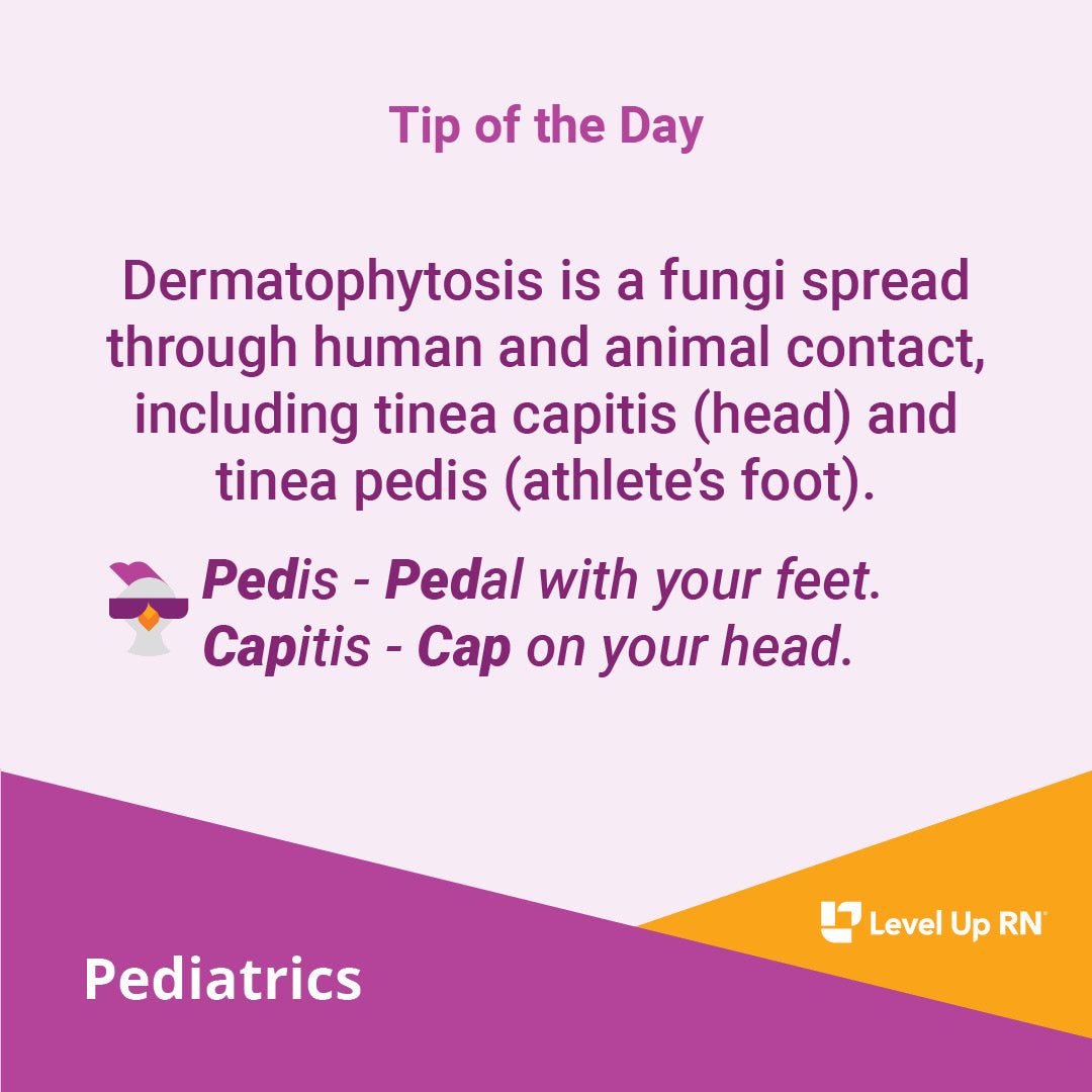 Dermatophytosis is a fungi spread through human and animal contact, including tinea capitis (head) and tinea pedis (athlete's foot)