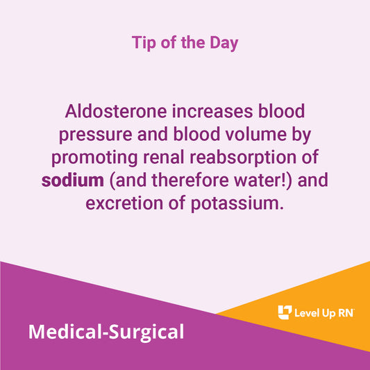 Aldosterone increases blood pressure and blood volume by promoting renal reabsorption of sodium (and therefore water!) and excretion of potassium.