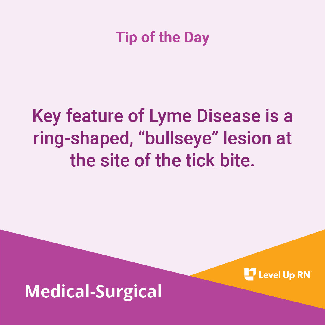 Lyme Disease