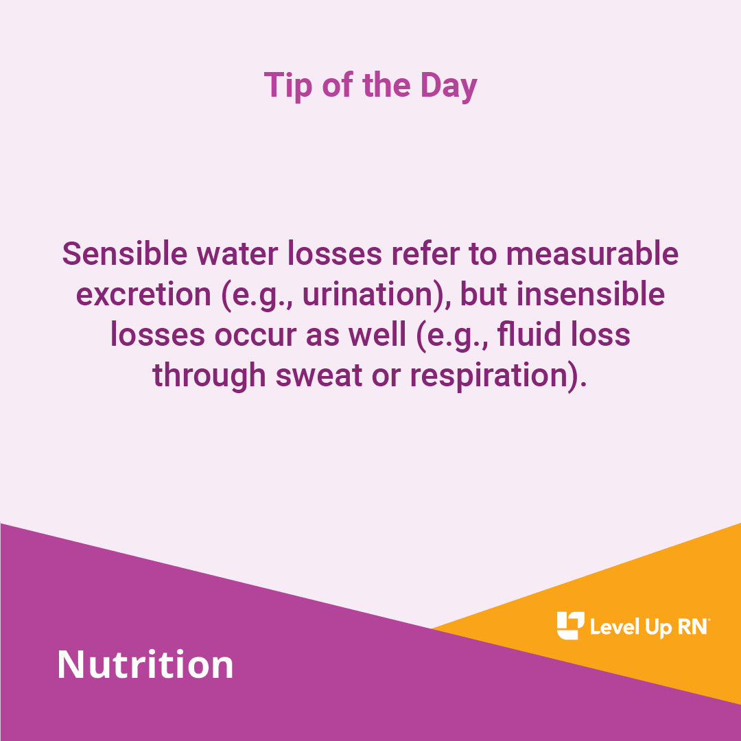 Sensible water losses refer to measurable excretion (e.g., urination), but insensible losses occur as well (e.g., fluid loss through sweat or respiration).