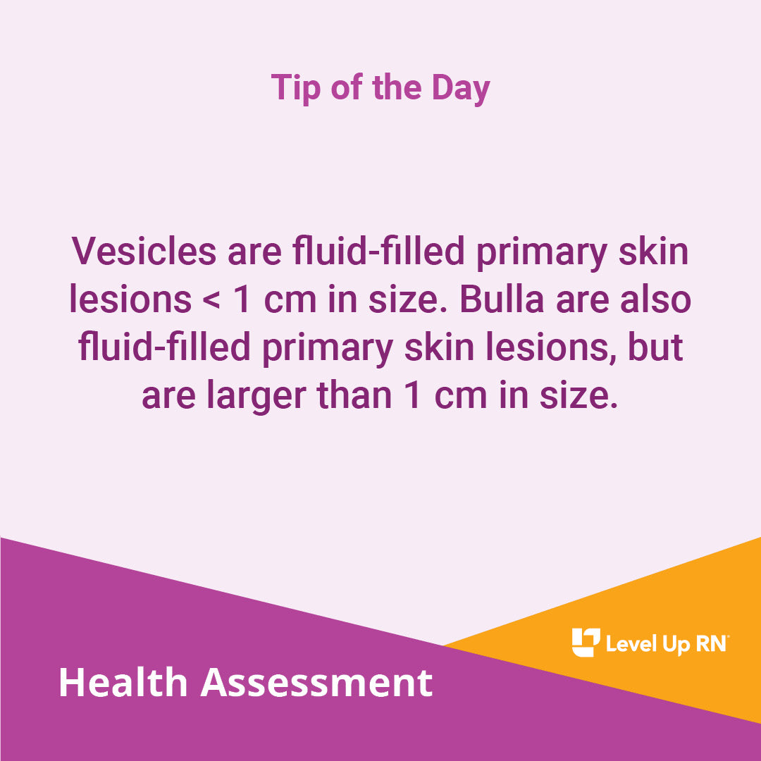 Vesicles are fluid-filled primary skin lesions < 1 cm in size. Bulla are also fluid-filled primary skin lesions, but are larger than 1 cm in size.