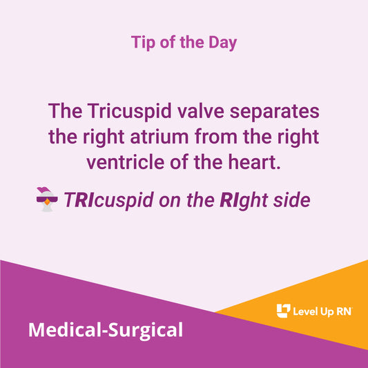 The Tricuspid valve separates the right atrium from the right ventricle of the heart.