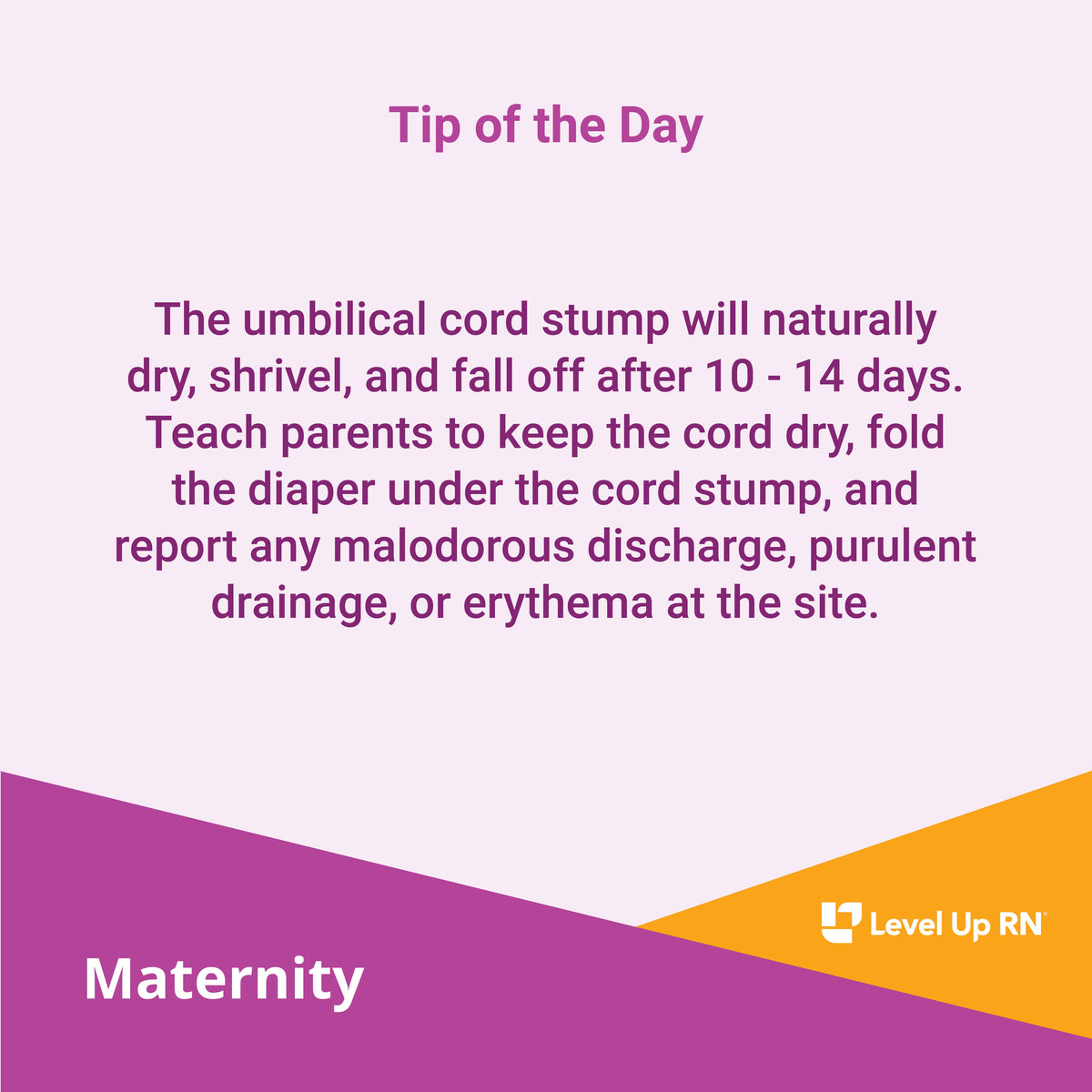 The umbilical cord stump will naturally dry, shrivel, and fall off after 10 - 14 days. Teach parents to keep the cord dry, fold the diaper under the cord stump, and report any malodorous discharge, purulent drainage, or erythema at the site.