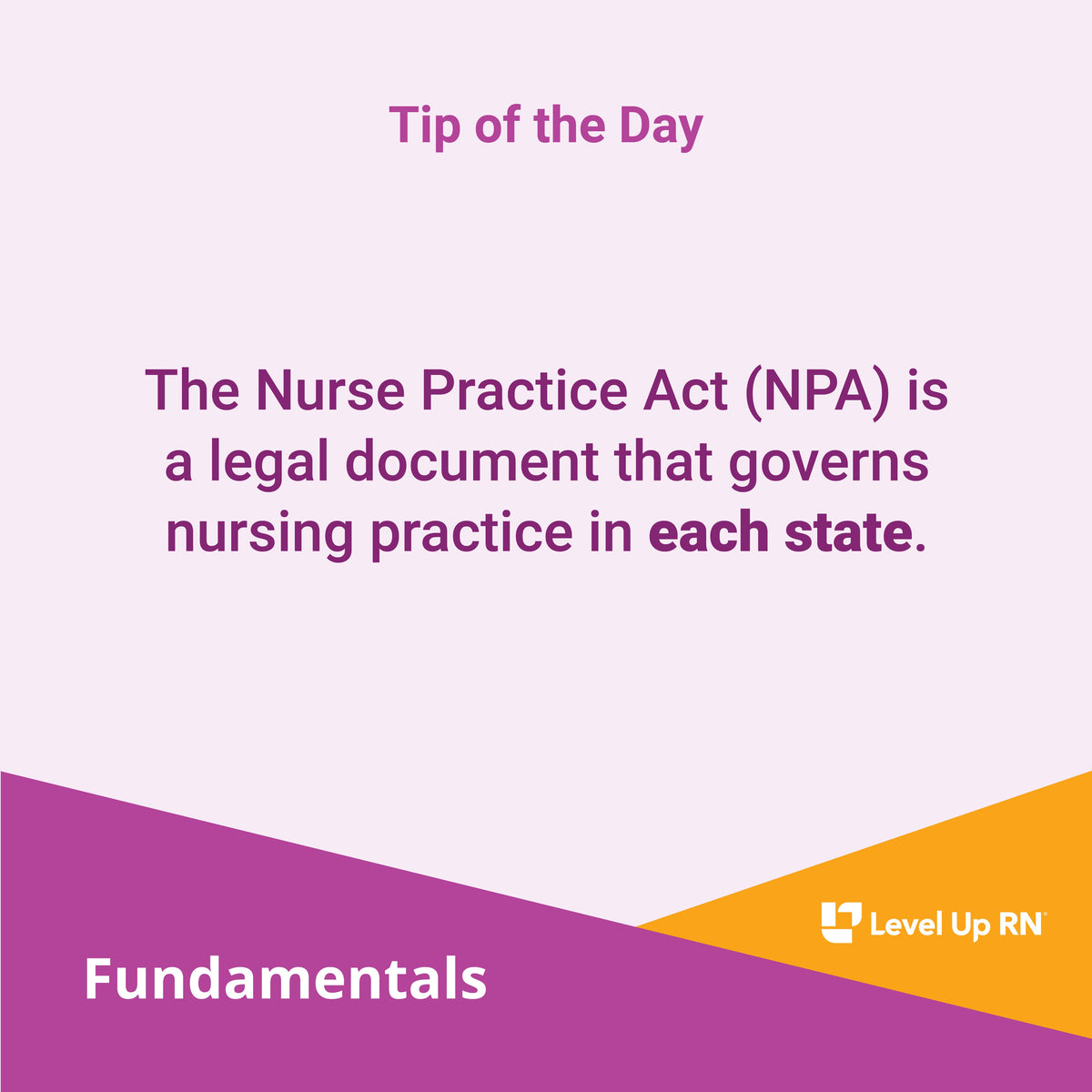 The Nurse Practice Act (NPA) is a legal document that governs nursing practice in each state.