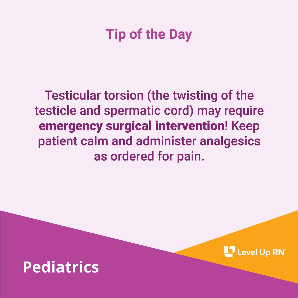 Testicular torsion (the twisting of the testicle and spermatic cord) may require emergency surgical intervention! Keep patient calm and administer analgesics as ordered for pain.