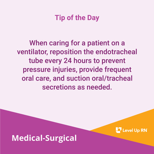 When caring for a patient on a ventilator, reposition the endotracheal tube every 24 hours to prevent pressure injuries, provide frequent oral care, and suction oral/tracheal secretions as needed.