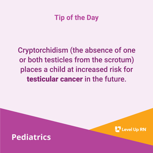 Cryptorchidism - LevelUpRN